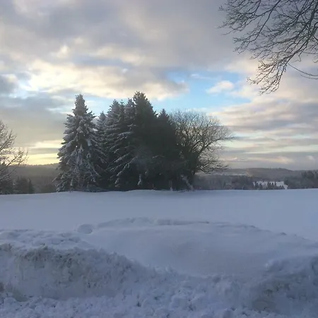 Harzblick