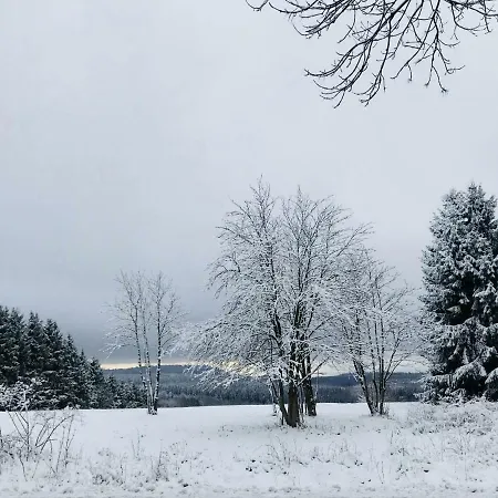 Harzblick