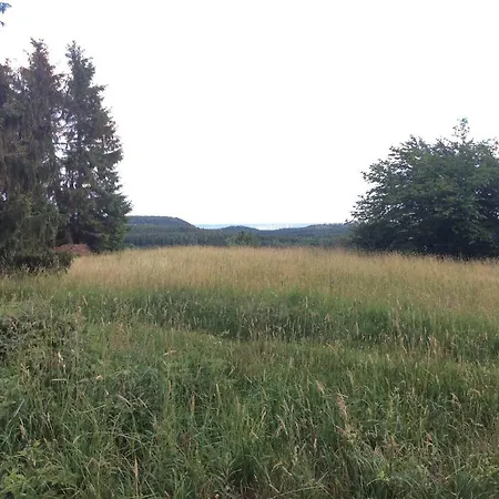 Harzblick