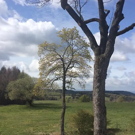 Harzblick Apartment Braunlage